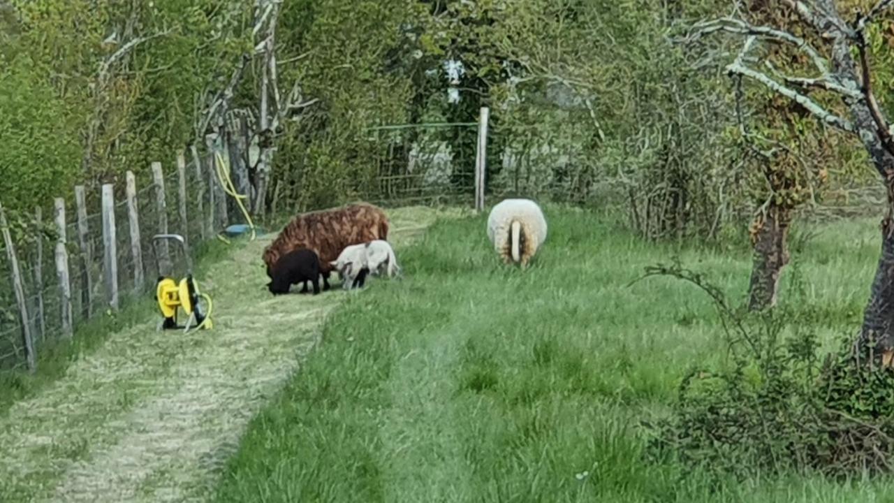 Grande Maison Avec Jardin, Animaux,Au Calme Yviers Exterior foto